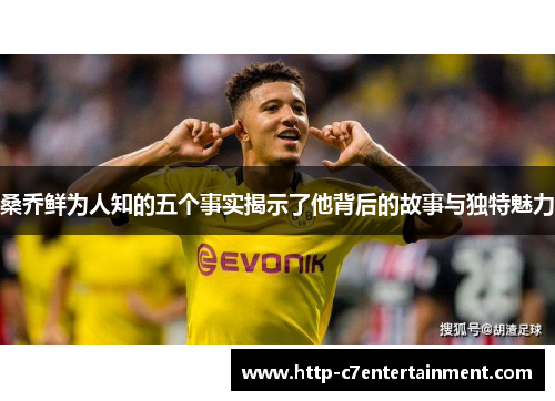 桑乔鲜为人知的五个事实揭示了他背后的故事与独特魅力
