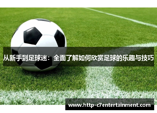 从新手到足球迷：全面了解如何欣赏足球的乐趣与技巧