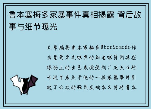 鲁本塞梅多家暴事件真相揭露 背后故事与细节曝光